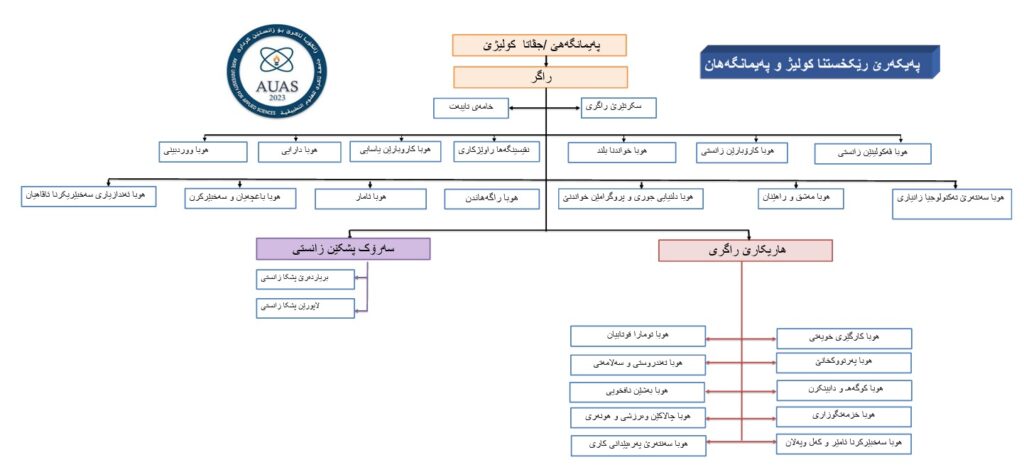 College and Institute Structure